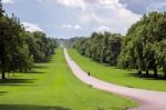 The Long Walk At Windsor Great Park Stock Photo