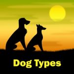 Dog Types Represents Pups Categories And Variety Stock Photo