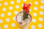 Cactus In Pot On Yellow Dot Table Stock Photo