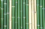 Bamboo Stock Photo