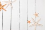 Starfish On White Wood Stock Photo