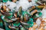 Fresh Mussels Stock Photo