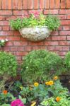 Garden and brick wall Stock Photo