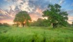 Misty Spring Morning Stock Photo