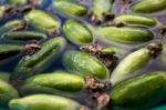 Ivy Gourd Soaking In Water Stock Photo