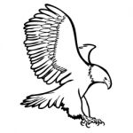 Freehand Sketch Illustration Of Eagle, Hawk Bird Stock Photo