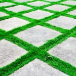 Green Grass Growth Between Cement Walkway Stock Photo