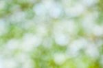 Green Bokeh Background Stock Photo