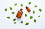 Mint Essential Oil In A Glass Bottle With Leaves On White Backgr Stock Photo