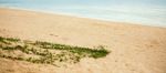 Tangalooma Island Beach In Moreton Bay.  Stock Photo