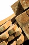 Pine Wood Logs Stock Photo