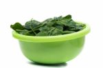 Bunch Of Fresh Spinach On A Green Bowl Stock Photo