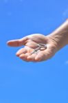 Hand Giving A Key Stock Photo