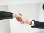 Handshaking business people Stock Photo