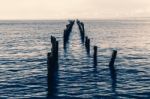 Beautiful Beach At Bridport, Tasmania, Australia Stock Photo