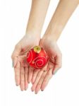 Female Woman Hand Holding Christmas Ball Stock Photo