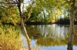 Autumn Scenery Near A Lake With Yellow Leaves On  Trees In Fall Stock Photo