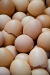 Eggshell Stock Photo