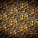 Tiger Fur Texture Stock Photo