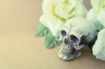 Still Life Of Love Human Skull With Rose Flower Stock Photo