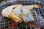 Grilling Prawn On Grill Stock Photo