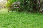 Grass And Chairs In Garden Stock Photo