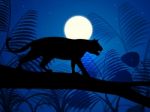 Tiger On Tree Indicates Wild Animals And Beast Stock Photo