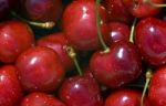 Cherries Stock Photo