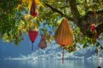 Chinese Lanterns Hanging From A Tree In Hallstatt Stock Photo