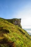 Morning In Phu Chi Fa Forest Park, Thailand Stock Photo