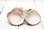 Several Clam Shells Isolated Stock Photo