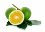 Citrus Sinensis Isolated On The White Background Stock Photo