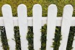 Fence With Hedge Stock Photo