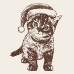 Little Cat, Kitten With Christmas Santa Hat Stock Photo