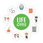 Life Cycle Stock Photo