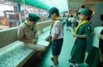 Student 9-10 Years Old, Scouts Work Together, Scout Camp In Pieamsuwan School Bangkok Thailand Stock Photo