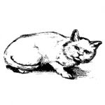 Free Hand Sketch Of Cat Hand Drawn Stock Photo