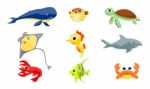 Sea Animals Stock Photo