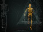 3d Illustration Of  Walking Fire Skeleton By X-rays On Backgroun Stock Photo