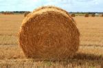 Straw Bale Stock Photo