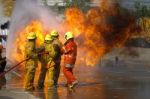 Fireman. Firefighters Fighting Fire During Training Stock Photo