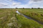 Spring Countryside Water Stream Landscape Stock Photo