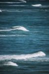 Beach Scene At Kings Beach, Queensland Stock Photo