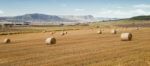 Outback Agricultural And Farming Field Stock Photo