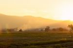 Cornfield With Farmland At Sunset Stock Photo