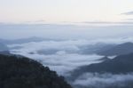 Fog On Mountain Thailand Stock Photo