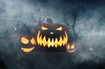 Halloween Pumpkin In Creepy Forest At Night,3d Illustration Stock Photo