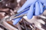 Dental Pliers And Instruments Stock Photo