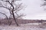 First Snow On The Riverbank. Autumn Morning Landscape Stock Photo