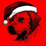 Dog With Santa Claus Hat Hand Drawn Stock Photo